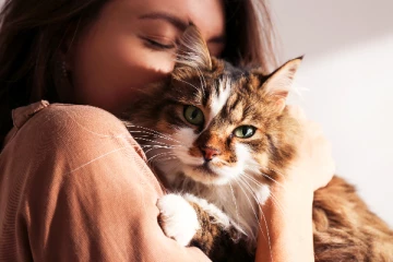 பூனைப் பிரியரா நீங்கள்? அப்போ ஆபத்துதான்; விடுக்கப்பட்ட எச்சரிக்கை!