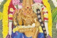 அம்மனை விட்டு பிரியாத கிளி கோட்டை- மாரியம்மன் கோயிலில் அதிசயம்