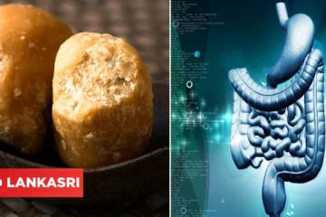 தினமும் ஒரு துண்டு பனை வெல்லத்தை சாப்பிடுங்க...உடலில் பல அற்புதங்கள் நடக்கும்!