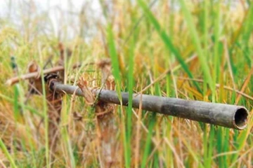 வவுனியாவில் கட்டுத்துப்பாக்கியில் சிக்குண்டு ஒருவர் படுகாயம்