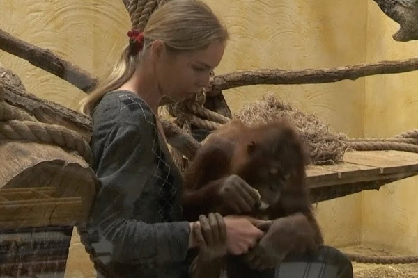 ரஷ்ய -  உக்ரைன்  போரினால்  பாதிக்கப்பட்ட விலங்குகள்! | Animals Affected By The Russian Ukrainian War