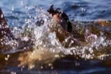 ගඟක දිය නෑමට ගිය පුද්ගලයෙකු අතුරුදන්..