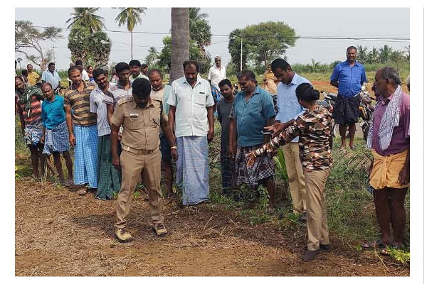 பெண்ணை துரத்திய மர்ம விலங்கால் பரபரப்பு - வனத்துறை அதிகாரிகள் ஆய்வு - தமிழ்நாடு