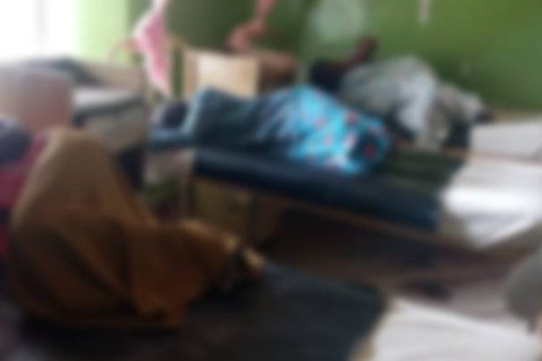 திடீரென வைத்தியசாலையில் அனுமதிக்கப்பட்ட 7 பெண்கள்! | 7 Women S Admitted Hospital Bitten By Wasps
