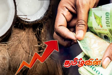 தேங்காய் விலையில் ஏற்பட்டுள்ள திடீர் அதிகரிப்பு