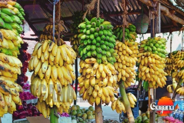 කෙසෙල් මිල අඩුවෙලා - දිවයින පුරා මිල වෙනසක්