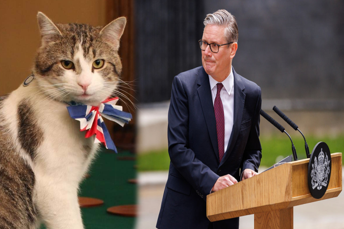 பிரித்தானியாவின் புதிய பிரதமருக்காக காத்திருக்கும் லாரி பூனை ! | Larry The Cat Waiting New Prime Minister Britain பிரித்தானியாவின் புதிய பிரதமருக்காக காத்திருக்கும் லாரி பூனை ! | Larry The Cat Waiting New Prime Minister Britain