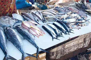 மீன் விலை தொடர்பில் வெளியான தகவல்!