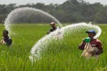 இரசாயன உர தடையால் இலங்கைக்கு ஏற்பட்டுள்ள பேரிழப்பு - அதிர்ச்சி தகவலை வெளியிட்ட பேராசிரியர்