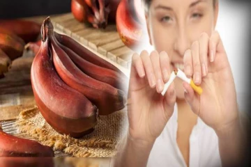 புகைப்பழக்கத்தை விடமுடியாமல் தவிக்கிறீர்களா? அப்போ இந்த பழத்தை சாப்பிட்டால் போதும்