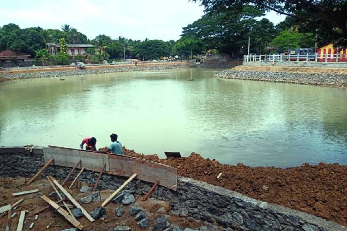 யாழ்ப்பாணத்தில் 20 ஏக்கர் காணியில் குளம் அமைப்பு ; சமூக வலைத்தளத்தில் கேள்வி | Construction Of Pond On 20 Acres Of Land In Jaffna யாழ்ப்பாணத்தில் 20 ஏக்கர் காணியில் குளம் அமைப்பு ; சமூக வலைத்தளத்தில் கேள்வி | Construction Of Pond On 20 Acres Of Land In Jaffna
