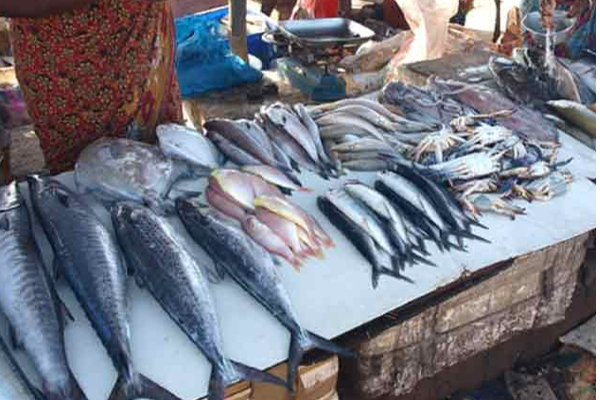 சட்டவிரோத தொழில் நடவடிக்கைகளுக்கு உடந்தையாக இருக்கும் அதிகாரிகளை இடமாற்ற நடவடிக்கை: அமைச்சர் உறுதி | Mullaithevu People