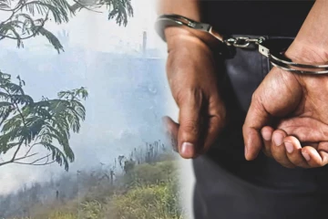 காடுகளுக்கு தீ வைப்பவர்களை உடன் கைது செய்யுங்கள்! பொது மக்கள் கோரிக்கை