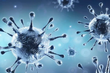 எங்கள் நாட்டில் யாருக்கும் கொரோனா பாதிப்பு இல்லை - WHOவுக்கு அதிர்ச்சி அளித்த நாடு எது?