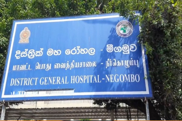 வைத்தியசாலையின் எட்டாவது மாடியில் இருந்து விழுந்த பெண்ணுக்கு நேர்ந்த கதி! | The Fate Of The Woman Eighth Floor Hospital