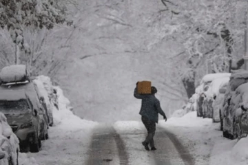 අධික ශීතලෙන් සතුන් ලක්ෂ 02කට වැඩි පිරිසක් මිය ගිහින්..