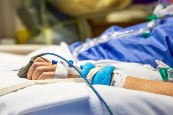 யாழில் முதியவர் மீது கொடூர தாக்குதல்:சந்தேகநபர்கள் தப்பியோட்டம் | Brutal Attack On Elderly Man In Jaffna யாழில் முதியவர் மீது கொடூர தாக்குதல்:சந்தேகநபர்கள் தப்பியோட்டம் | Brutal Attack On Elderly Man In Jaffna