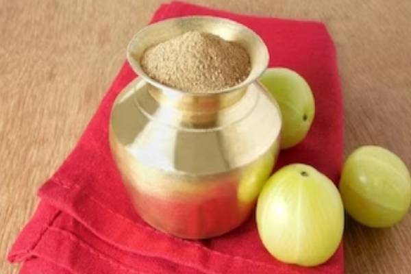 இந்த செடி வளர வளர உங்கள் கஷ்டமும் குறைந்து கொண்டே இருக்குமாம் | As Plant Grow Your Suffering Will Also Decrease