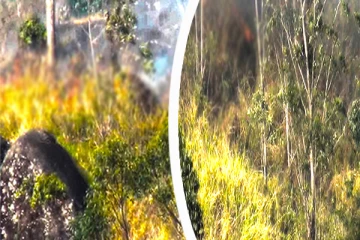 ஹட்டன் - சிங்கமலை வனப்பாதுகாப்பு பகுதிக்கு தீ வைப்பு: நீர் பற்றாக்குறை தொடர்பில் எச்சரிக்கை