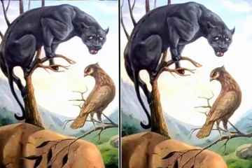 தனக்குள் இருக்கும் தலைமைத்துவ பண்பை கண்டுபிடிக்க ஒரு Test: படத்தில் தெரிவது என்ன?