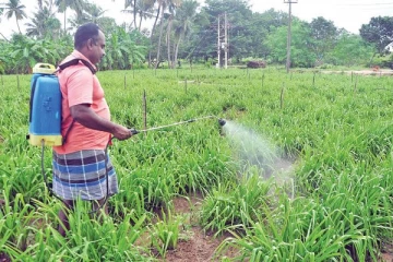 நனோ-நைட்ரஜன் திரவ உரம் இறக்குமதி:விசாரணைக்கு அனுப்பப்பட்டுள்ள சிறப்பு கணக்காய்வு அறிக்கை