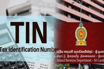 வெளிநாடுகளில் வாழும் இலங்கையர்களுக்கு TIN தொடர்பில் வெளியான அறிவிப்பு!