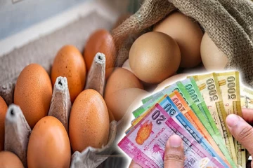 முட்டையின் விலையில் ஏற்படவுள்ள பாரிய மாற்றம்..!