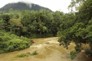 පස් හැවිරිදි දැරුවාව කැලණි ගගට දැමූ මව..දරුවා සොයා දැවැන්ත මෙහෙයුම් - මෙරටින් ඇසෙන ඇග හිරිවැටෙන සංවේදී පුවත..