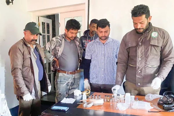 இலங்கை வந்த அமெரிக்க தம்பதியின் மோசமான செயல் - விசாரணையில் அதிர்ச்சித் தகவல் | American Couple Arrested In Sri Lanka