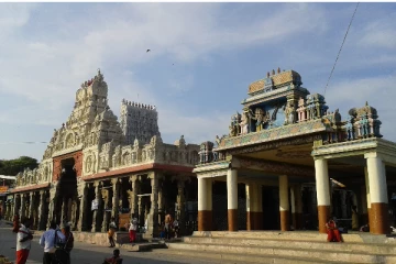திருச்செந்தூரில் வைகாசி விசாக திருவிழா கோலாகலம்