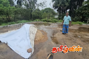 சுதந்திரபுரத்தில் முழுமை பெறாத நெல் காய்தளம் - விவசாயிகள் விசனம்!