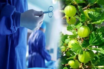 அறுவை சிகிச்சை செய்தவர்கள் தப்பி தவறிக்கூட இதை சாப்பிடாதீங்க.. எச்சரிக்கை!