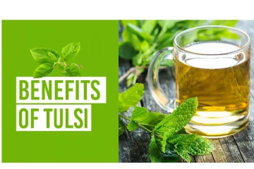 சர்க்கரை நோயாளிக்களுக்கு அருமருந்தாகும் புனித துளசி - எப்படி சாப்பிடவேண்டும்?