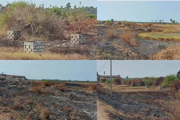 யாழில் முற்றாக எரிந்து தீக்கிரையான மரங்கள்