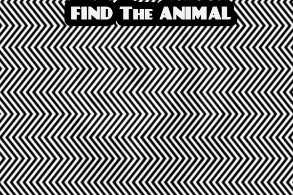 Optical illusion: கண்களை சுருக்கி பார்த்தால் இதில் தெரியும் மிருகம் என்ன? | Optical Illusion Find The Animal In 5 Sec Optical illusion: கண்களை சுருக்கி பார்த்தால் இதில் தெரியும் மிருகம் என்ன? | Optical Illusion Find The Animal In 5 Sec