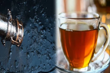 எரிபொருளுக்கு பதிலாக தேயிலை:ஈரானுடன் உடன்படிக்கை