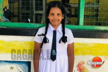 ශිෂ්‍යත්වෙන් දිවයිනේ ප්‍රථමයා අම්බලන්ගොඩ ශනුදි අමායා