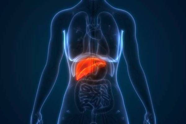 மதுபான விரும்பியா நீங்க? இந்த 3 அறிகுறி வந்தா கவனம்... கல்லீரல் பாதிப்பு | Symptoms Of Liver Damage In Alcoholics