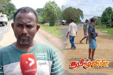 நெல்லுக்கான நிர்ணய விலை குறித்து விவசாயிகள் விடுத்துள்ள கோரிக்கை