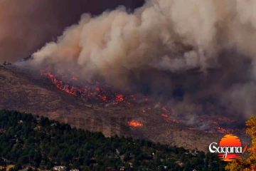 සමනළ රක්ෂිතයේ ගින්නක්