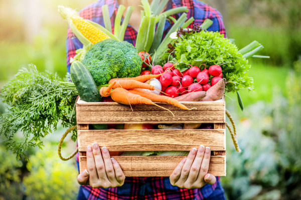 உச்சத்தை தொட்டு வரும் மரக்கறிகளின் விலை | Prices Of Vegetables Are At A Peak
