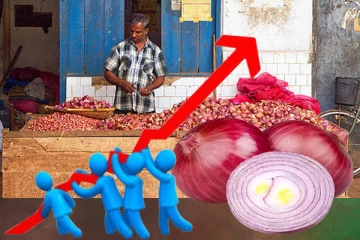 பெரிய வெங்காயத்தின் விலையில் ஏற்பட்ட மாற்றம்