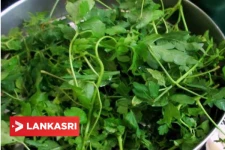 இந்த இலையை வாரத்திற்கு இரண்டு முறை சாப்பிட்டால் மூட்டுவலி பறந்து போகுமாம்!