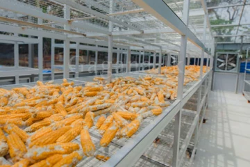 ශ්‍රී ලංකාවේ ප්‍රථම වතාවට ගොඩ බැස්සූ සූර්ය උමං වියලනය.