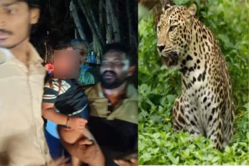 5 வயது சிறுவனை வாயில் கவ்விக் கொண்டு ஓடிய சிறுத்தை - யாத்திரையில் பரபரப்பு!