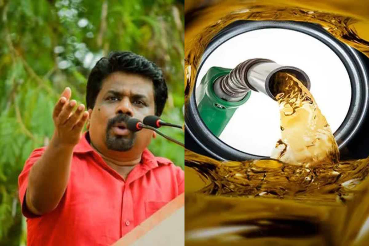 எரிபொருள் விலை 720 ரூபாய்! கேள்விக்குள்ளான அரசாங்கத்தின் அறிக்கை | Fuel Price Changed To Rs720 எரிபொருள் விலை 720 ரூபாய்! கேள்விக்குள்ளான அரசாங்கத்தின் அறிக்கை | Fuel Price Changed To Rs720