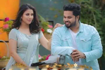 படு பிரம்மாண்டமாக பிறந்தநாளை கொண்டாடிய சீரியல் நடிகை ஆல்யா மானசா... வெளியான வீடியோ