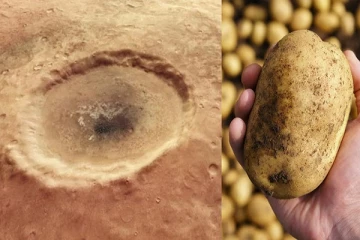 உருளைக்கிழங்கின் மூலம் செவ்வாய் கிரகத்தில் வீடு கட்டலாம்: விஞ்ஞானிகள்