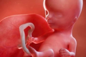 தாயின் தொப்புள் கொடியில் பிளாஸ்டிக்! உலகையே பேரதிர்ச்சியில் ஆழ்த்திய ஆய்வு