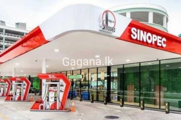 ඉන්ධන මිල සිනොපෙක් පළමු වරට ඉහළ දමයි..හැබැයි සිපෙට්කෝට වඩා අඩුවෙන්..
